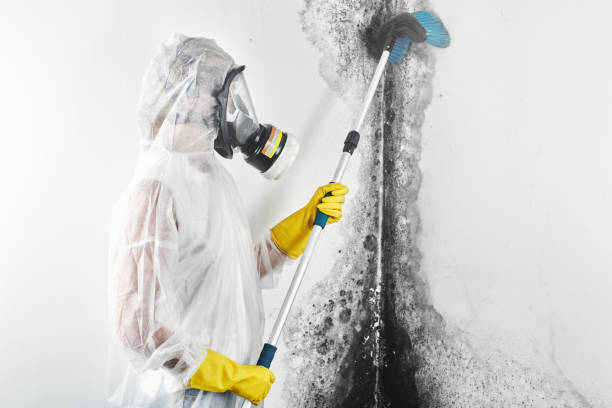 Best Real Estate Mold Inspection  in Edgefield, SC